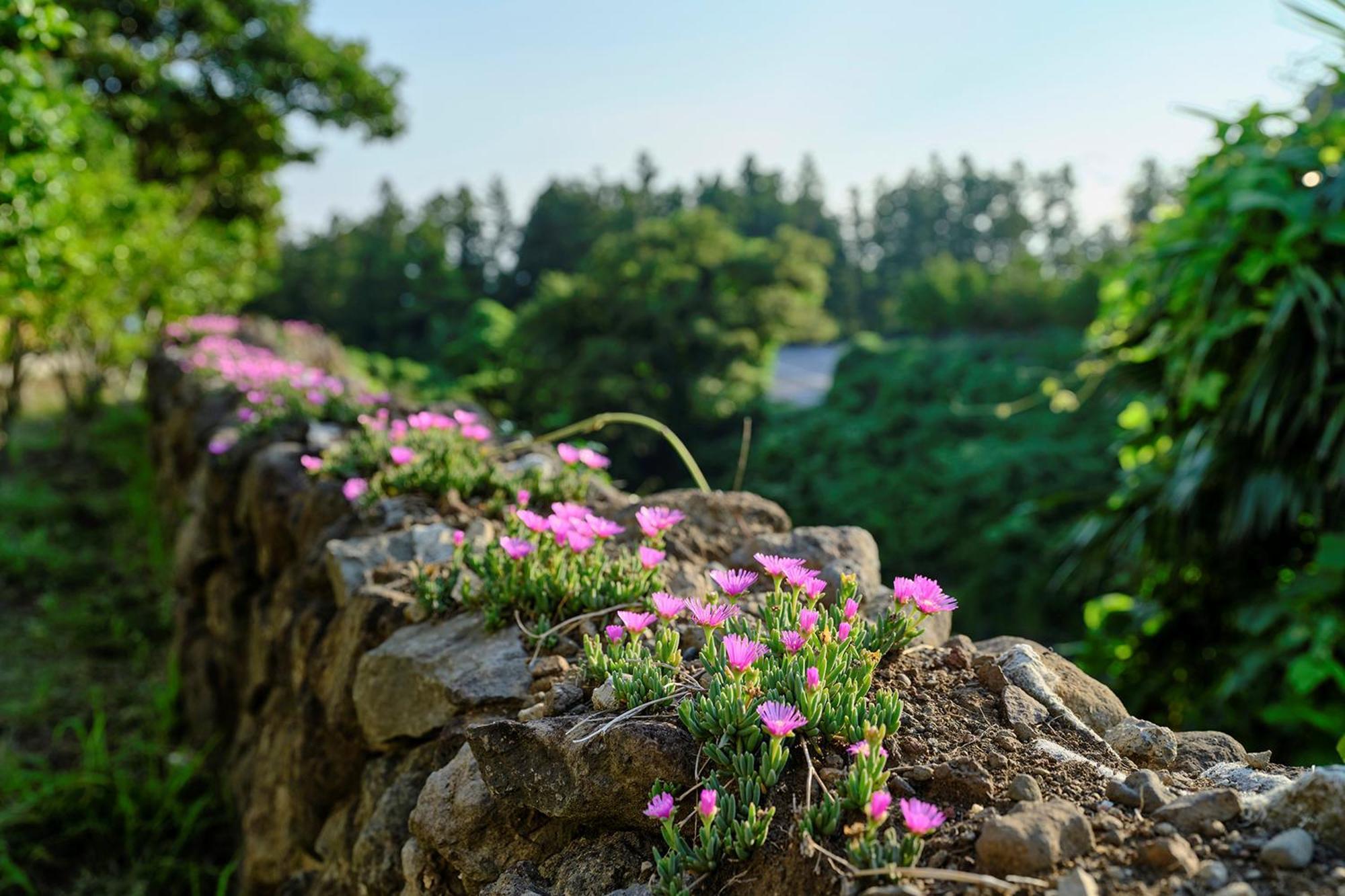 Shin Shin Hotel Jeju City Luaran gambar