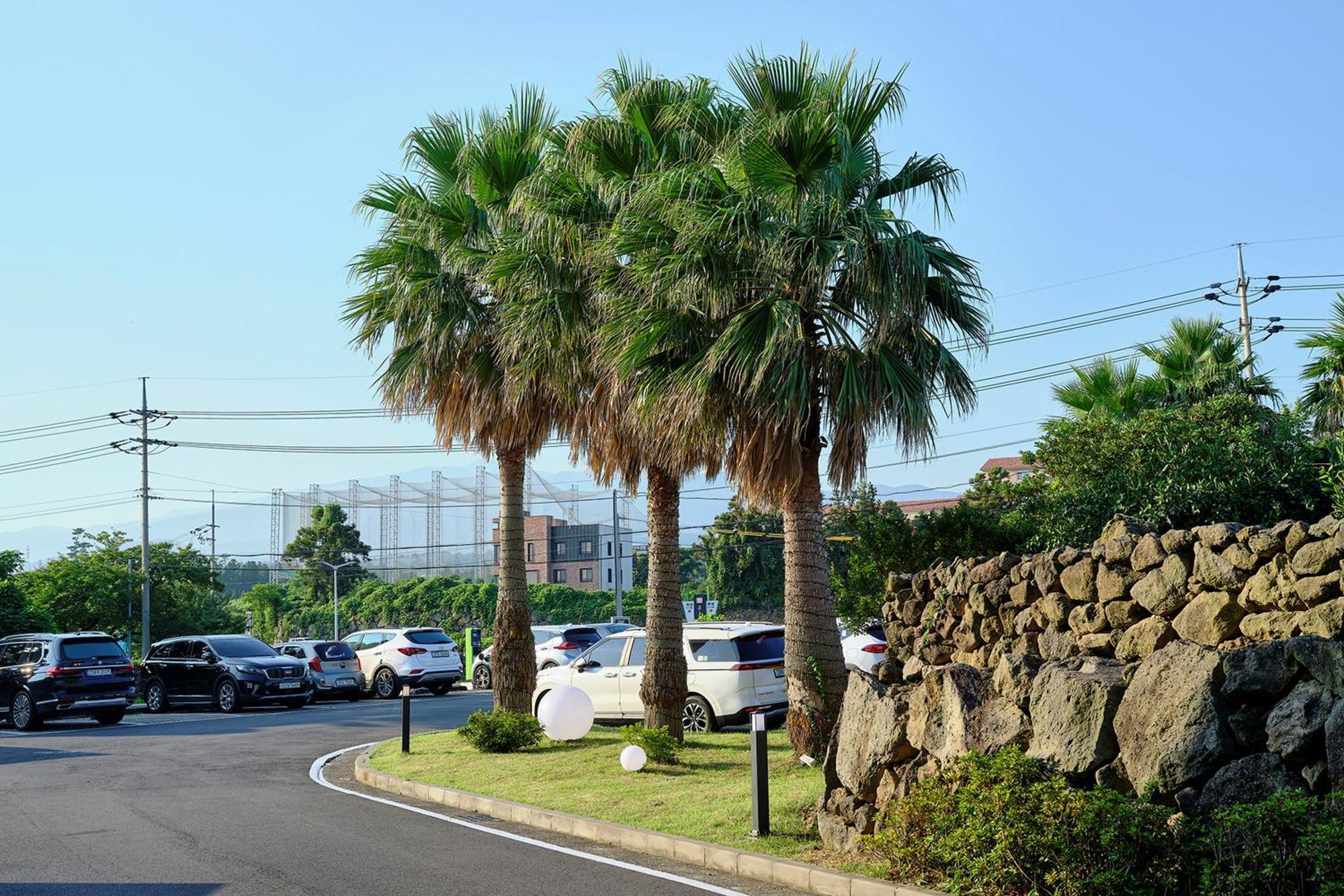 Shin Shin Hotel Jeju City Luaran gambar